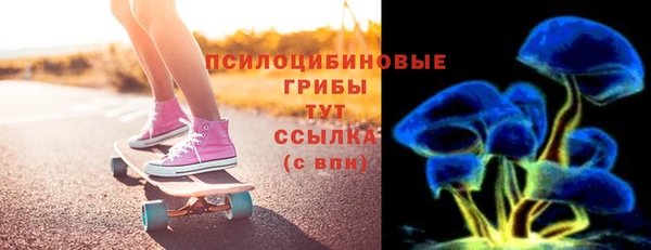 гашик Пересвет