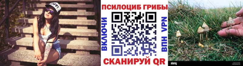 Псилоцибиновые грибы Psilocybine cubensis  KRAKEN зеркало  Выкса 
